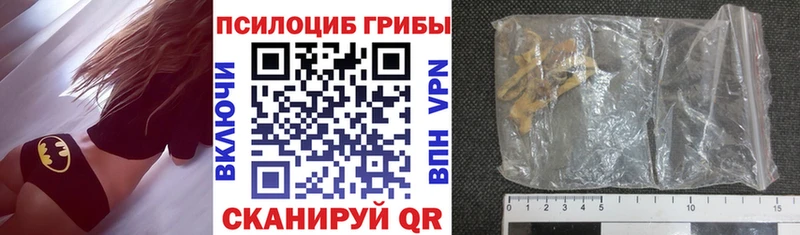 где найти   Купино  гидра маркетплейс  Галлюциногенные грибы Psilocybe 
